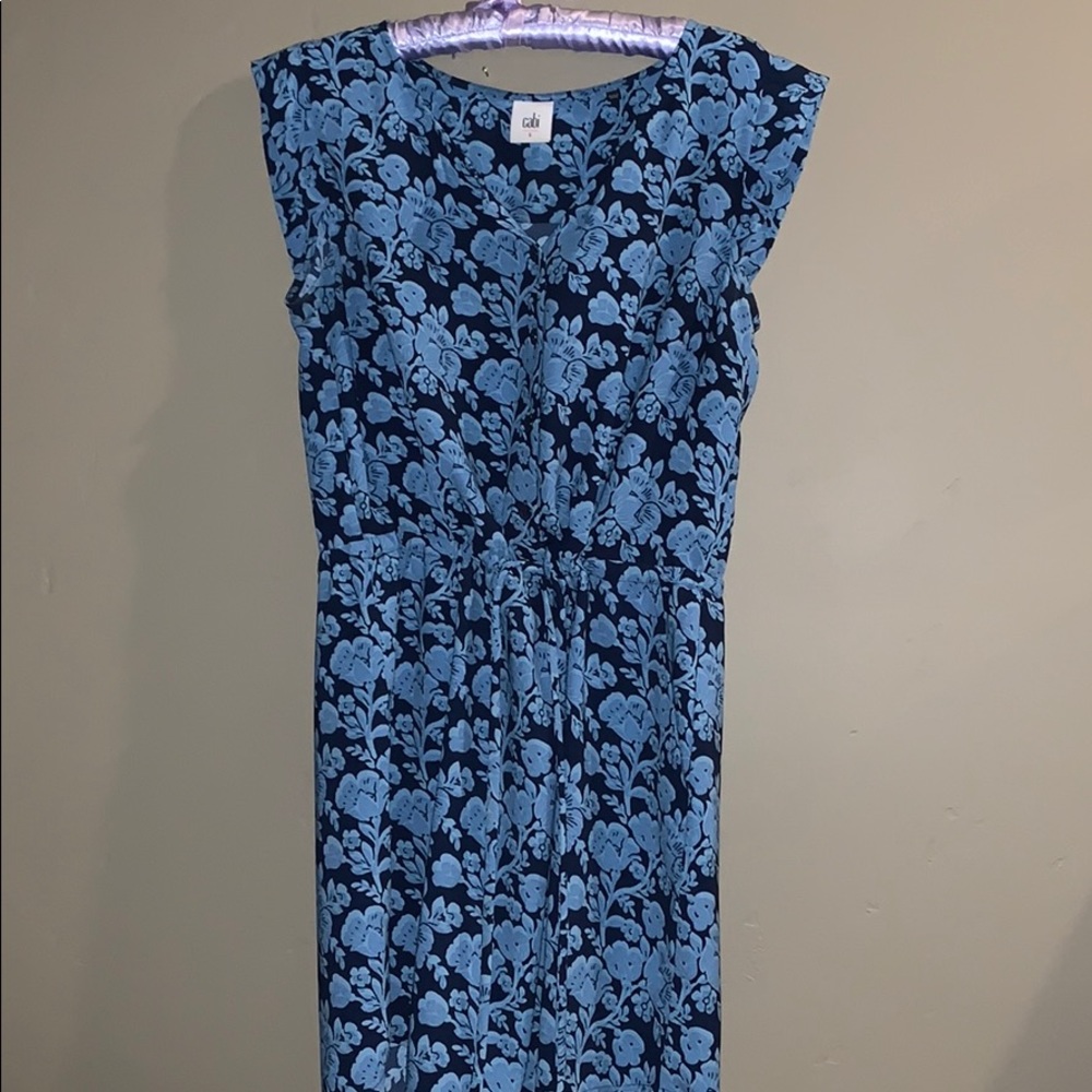 CAbi dress!